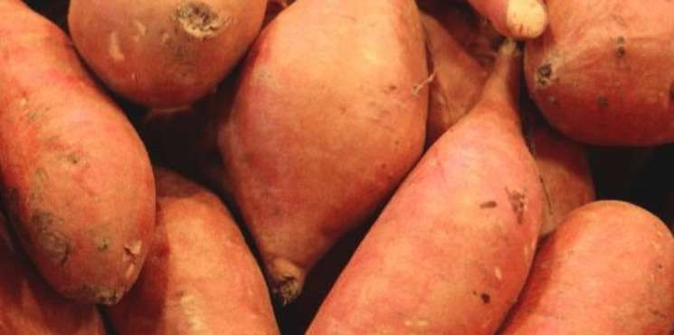 Jaune, blanche ou rouge, la chair de la patate douce a de quoi vous surprendre